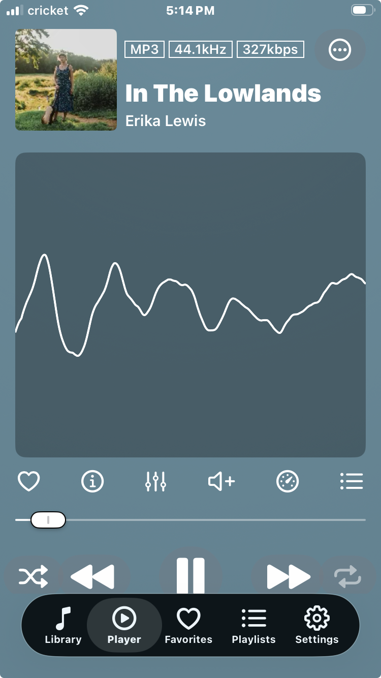 Anywhere music player - Waveform Spectrum Analyzer
